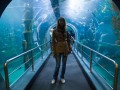 0408-1405 Melbourne aquarium (4085166)